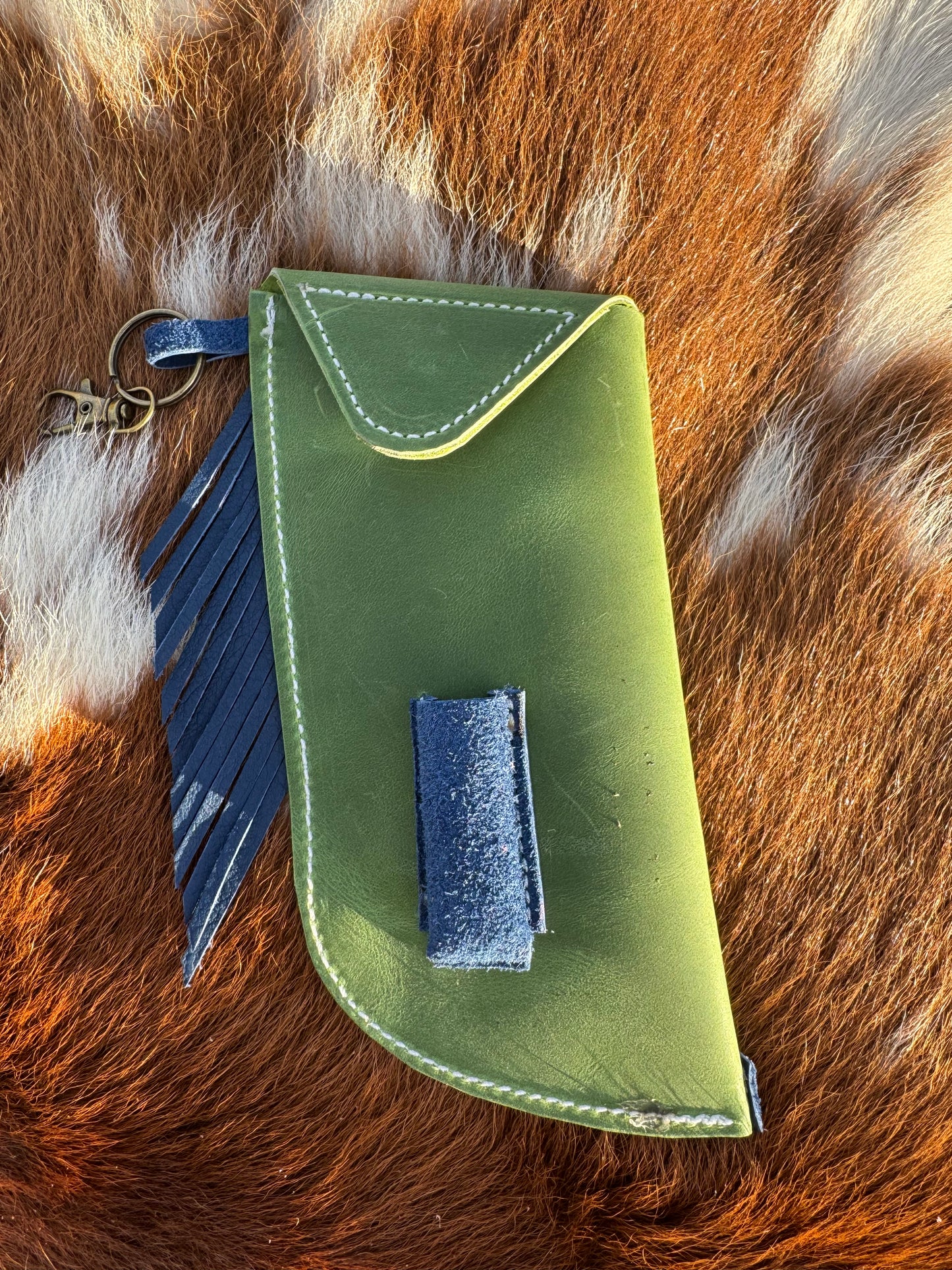 Chap-Stick Sunglass Holder Green & Navy